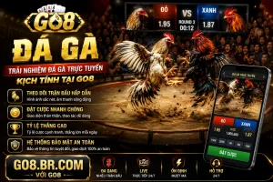 GO8 danh mục slot và casino
