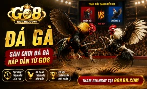 Khung trận đá gà GO8 đang phát live