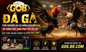 Giao diện Đá Gà GO8 trên điện thoại
