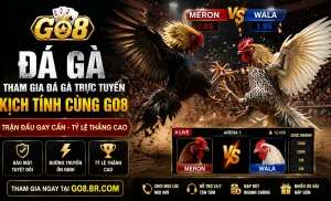Khu vực ưu đãi lễ hội Đá Gà GO8