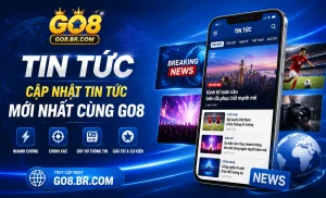 GO8 tin tức - hình ảnh 4