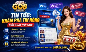 GO8 tin tức - hình ảnh 1